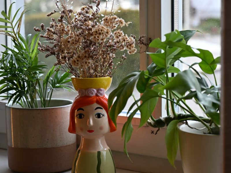 Psihoterapija Brežice